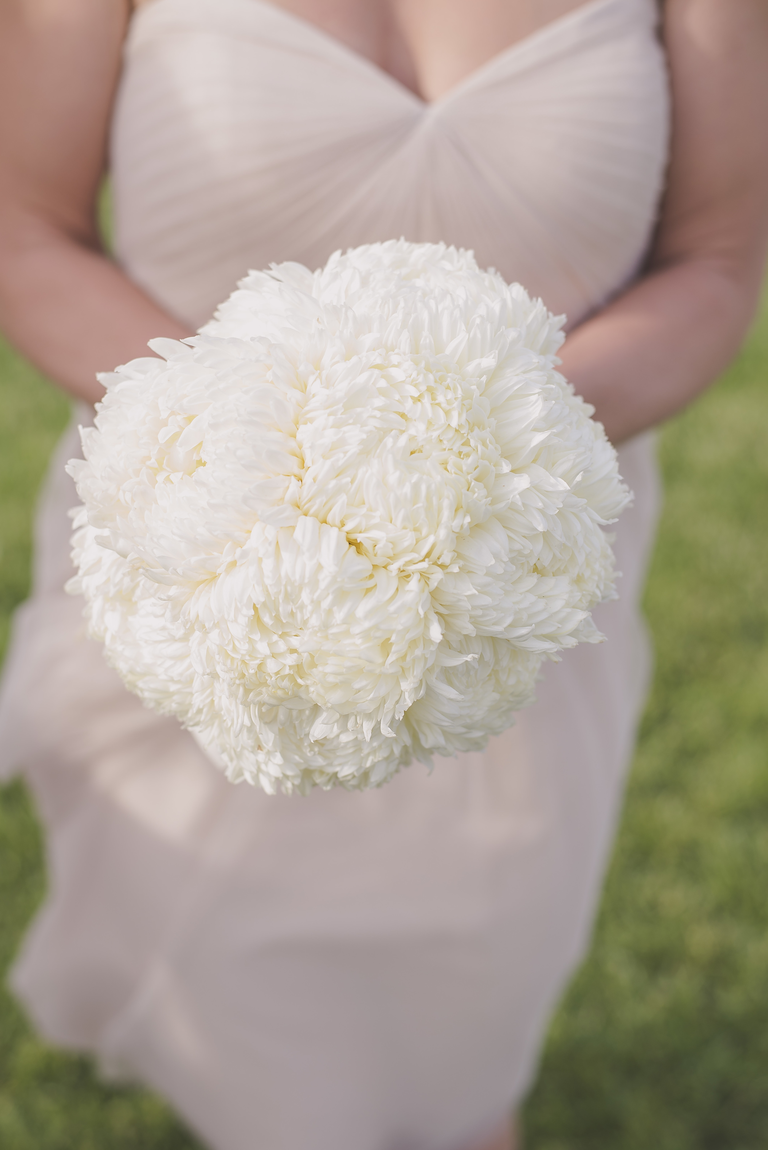 Melissa Fogg Photography : Congress Hall