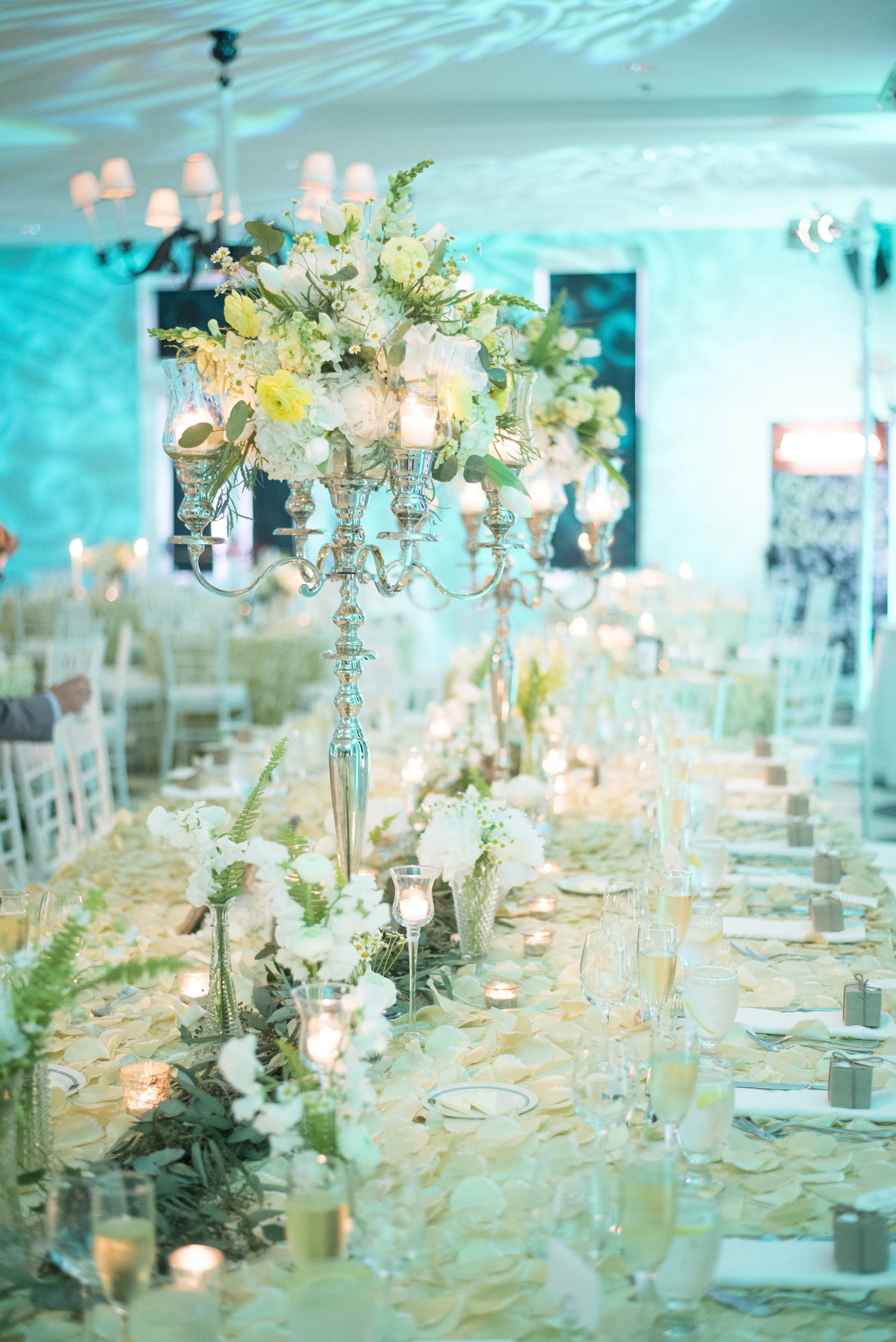 Melissa Fogg Photography : Congress Hall