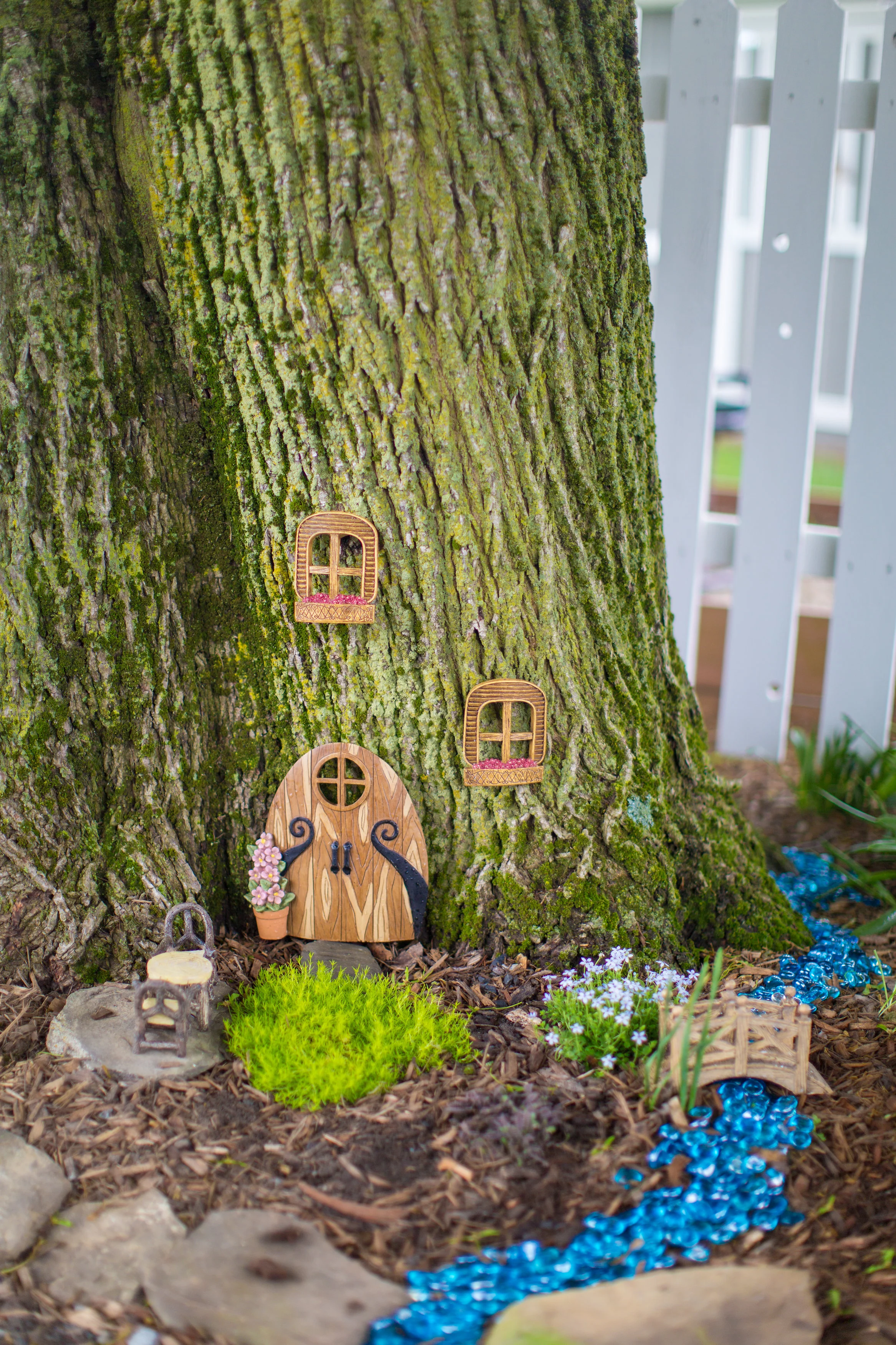 Tami & Ryan Photography