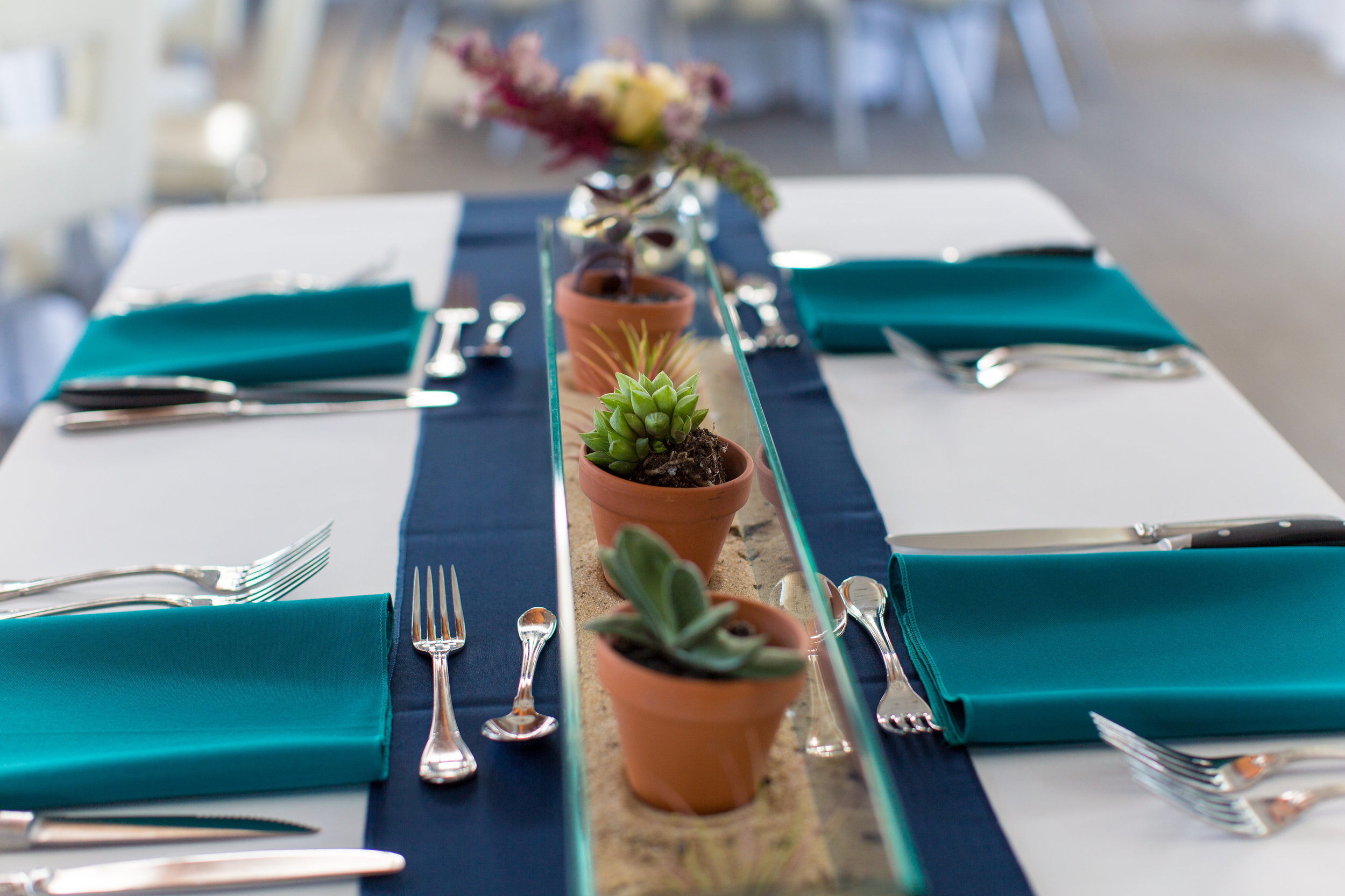 How cute are these potted succulents! Placed in sand in our recycled glass vase, we brought the beach inside. 