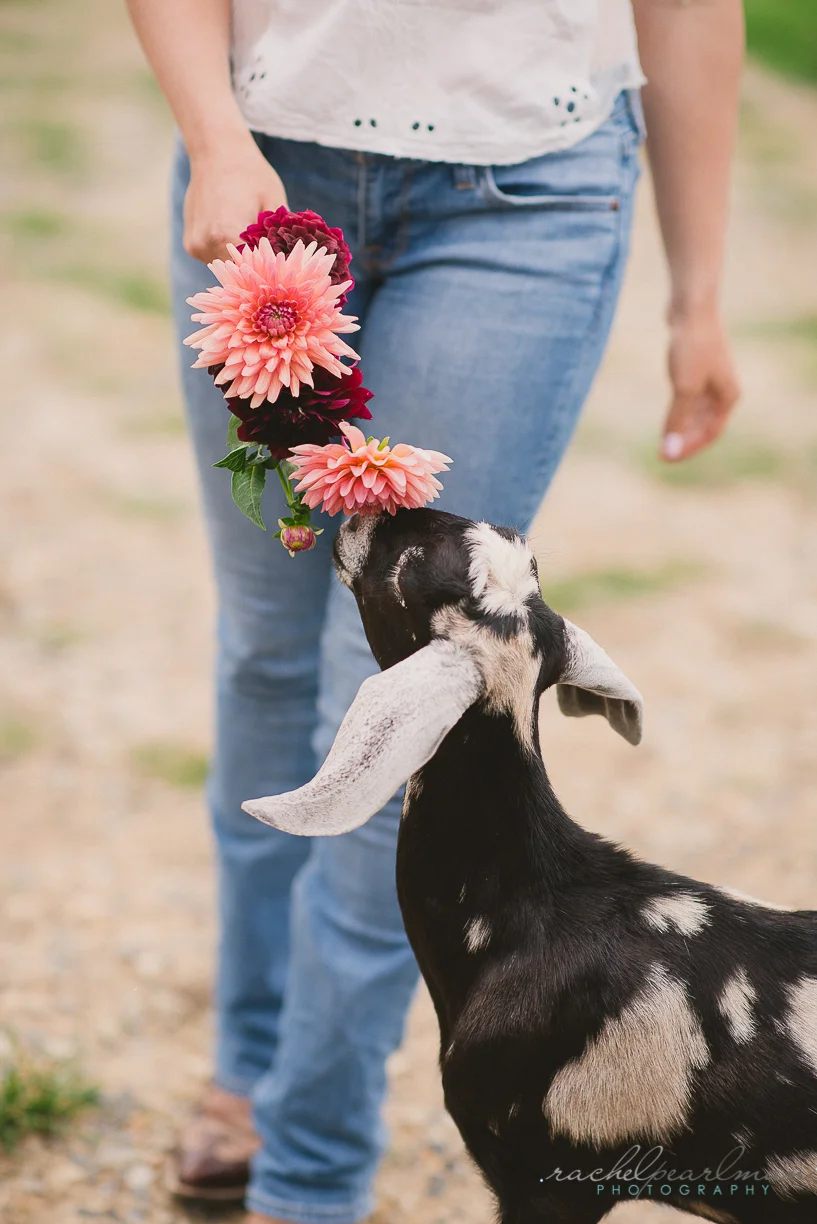 rachelpearlmanphotography.com-98.jpg