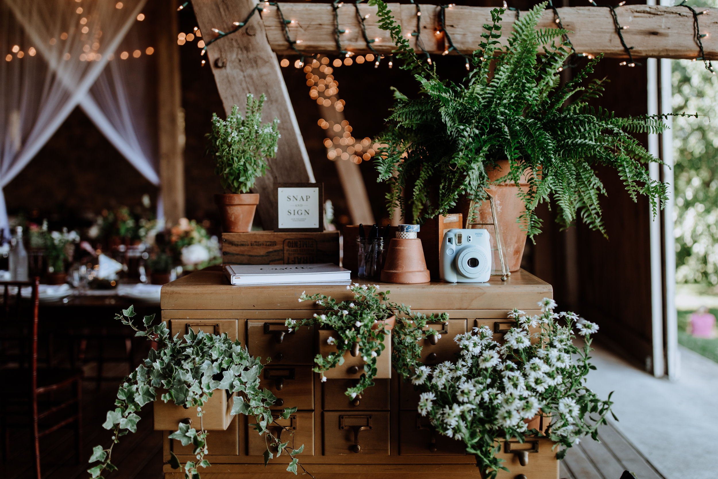 card catalog display with potted plants