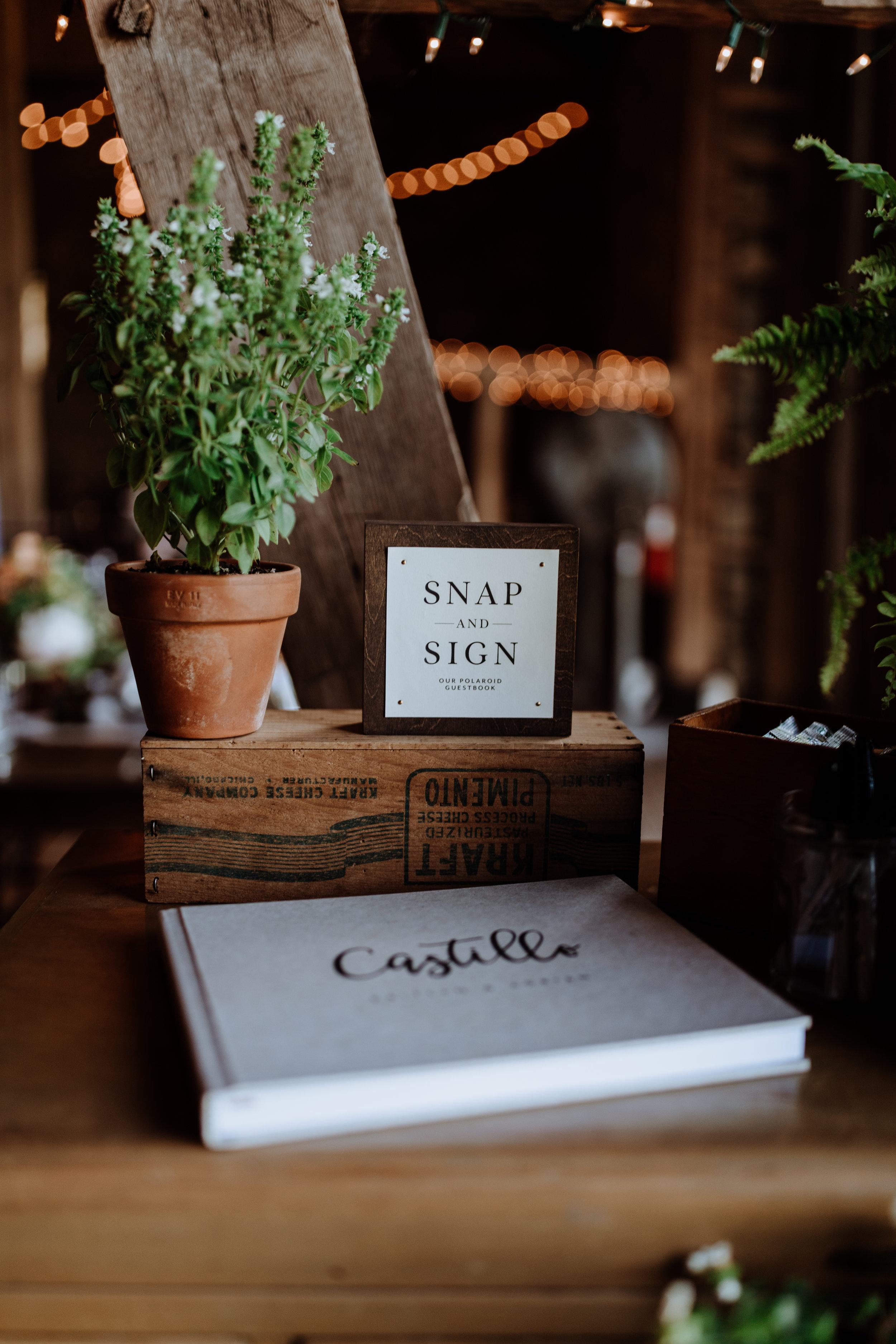 potted plants at sign in table