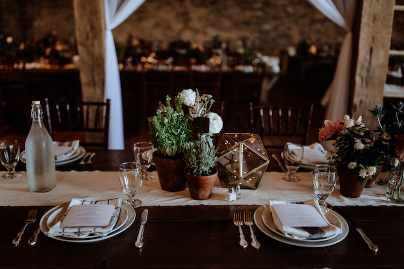 terrariums and herbs on farm tables