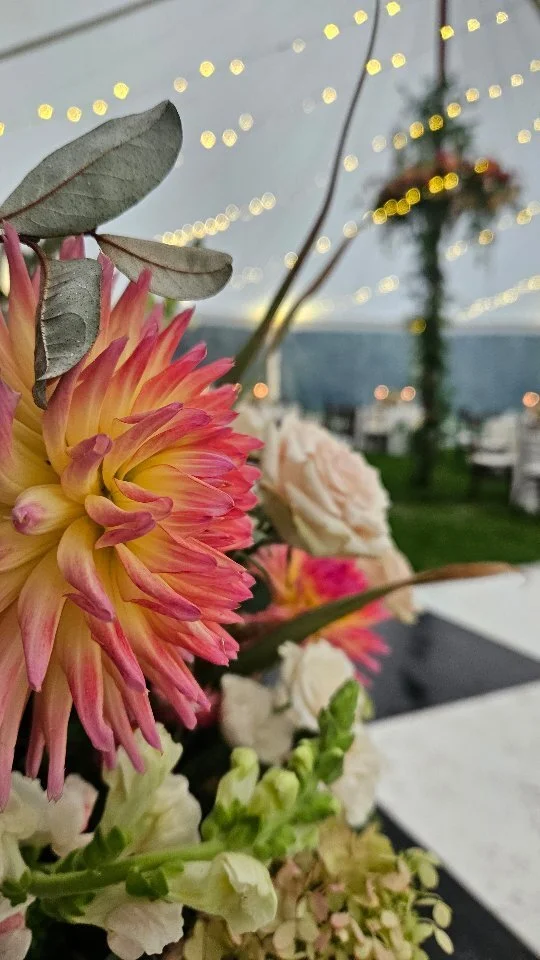 Fairy Garden — A Garden Party