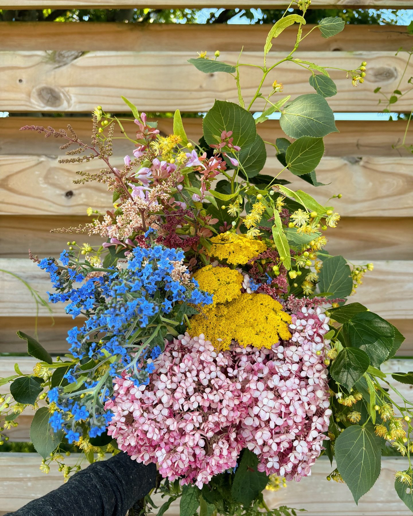Celebrate summer with alllll the garden goodies 🤩 Freshly cut stems from out in our gardens and ready for you to bring home! Stop in to get a grab and go or one of our lovingly made arrangements and pretty up your home for the first official day of 