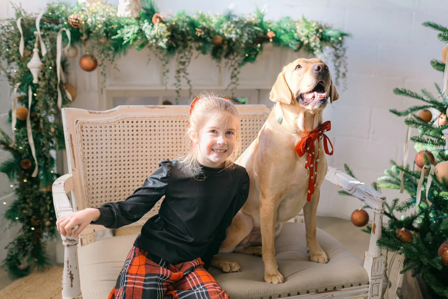 We can't thank you all enough for such an amazing few days. The sale continues today, Sunday 10am - 5pm. Our event barn is open if you want to stop in and grab family pics (peep Joy and Willow posing so pretty). Your support means so much to us, our 