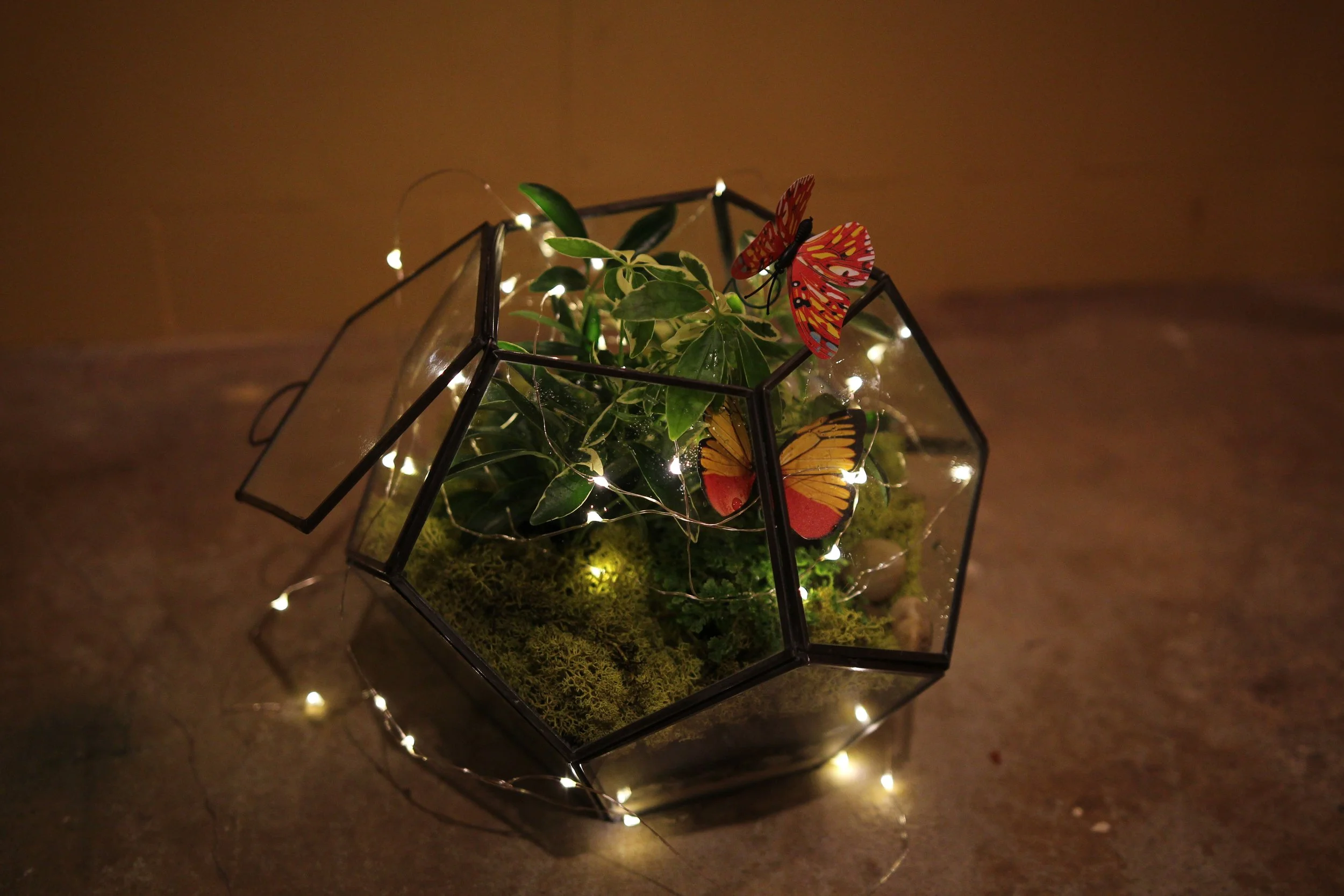 DIY Terrarium Workshop