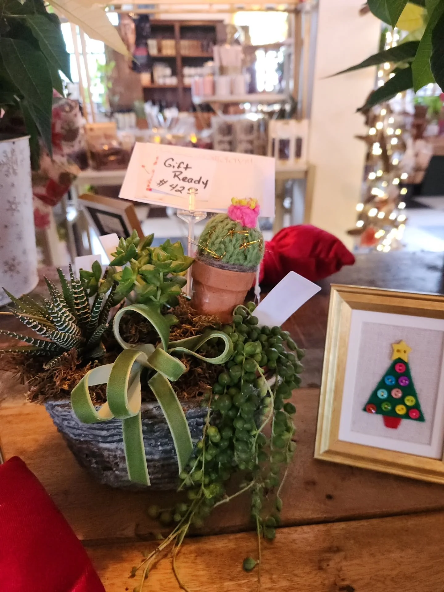 We have jazzed up some of our favorite plants in the store for the holidays! These festive houseplants are the perfect holiday gift. Anyone would love to receive one! #houseplantsofinstagram #giftideas #shopsmall #shoplocal