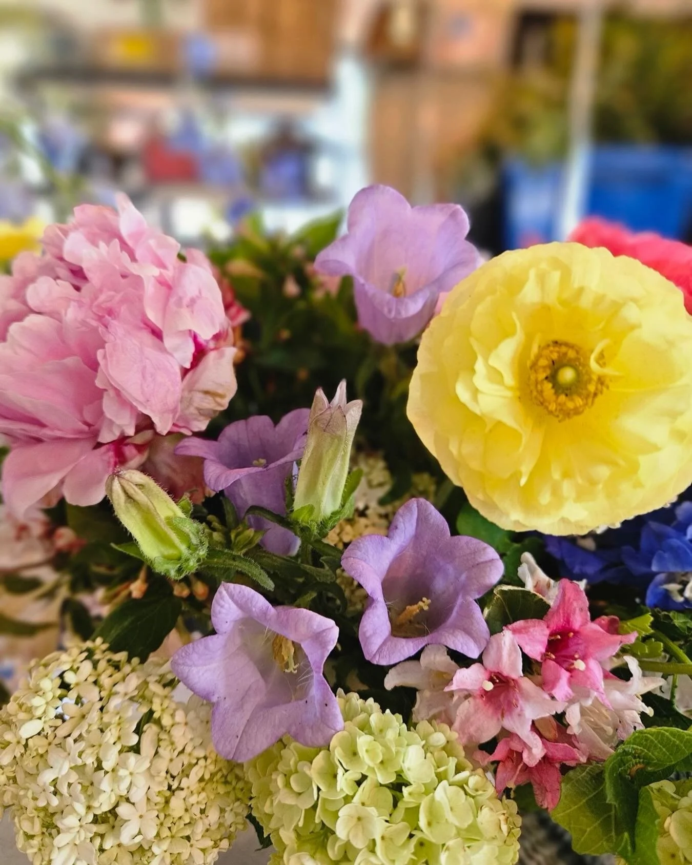 Did you know some our flowers are homegrown? I've always dreamed of cultivating beauty on our land, and this arrangement showcases that dream. Our 2026 seed list is bursting with over 100 varieties, and we can't wait to see them bloom. The foundation