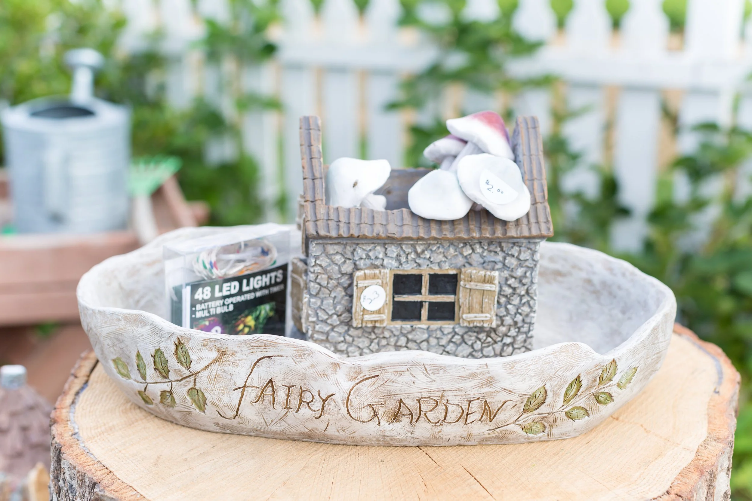 Fairy Garden Workshop