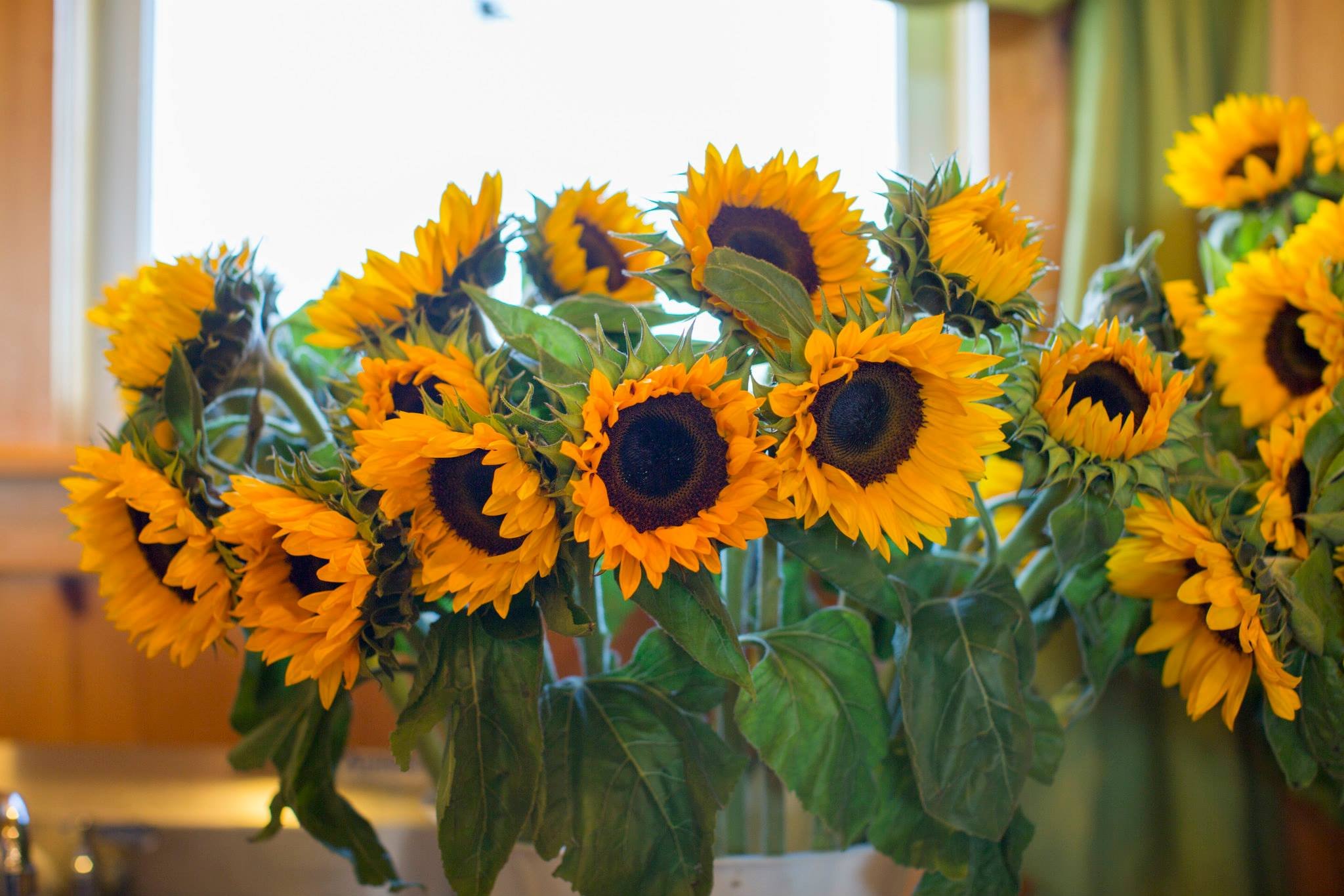 Kids Garden Hour - Sunflower Spectacular