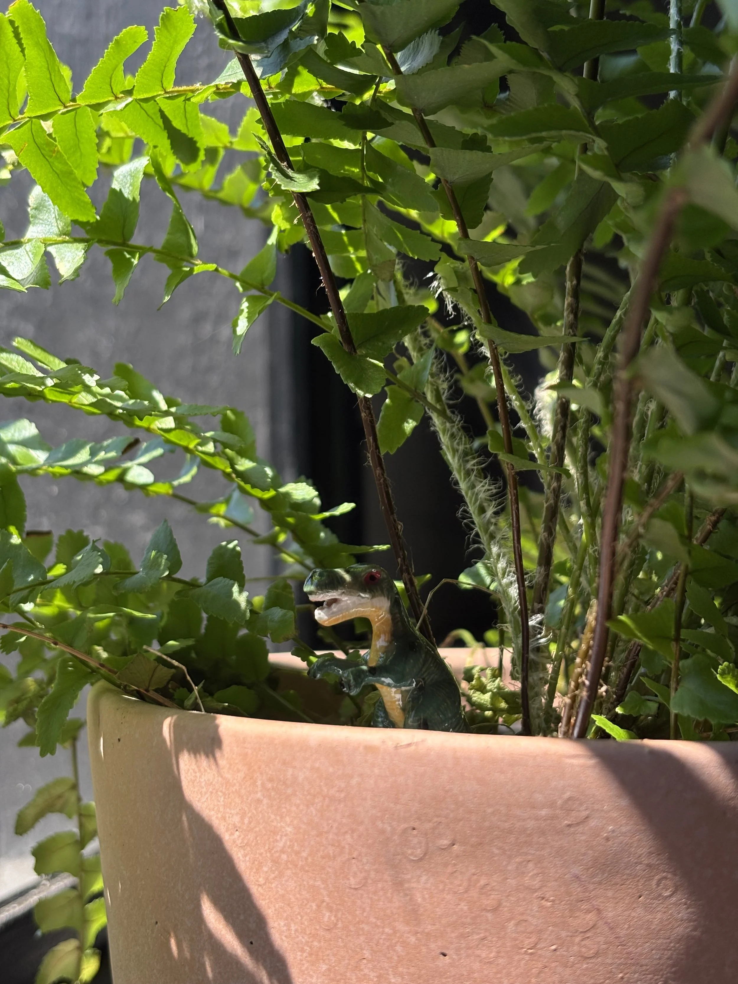 Kids Garden Hour - Dirty Dinos Garden Dig