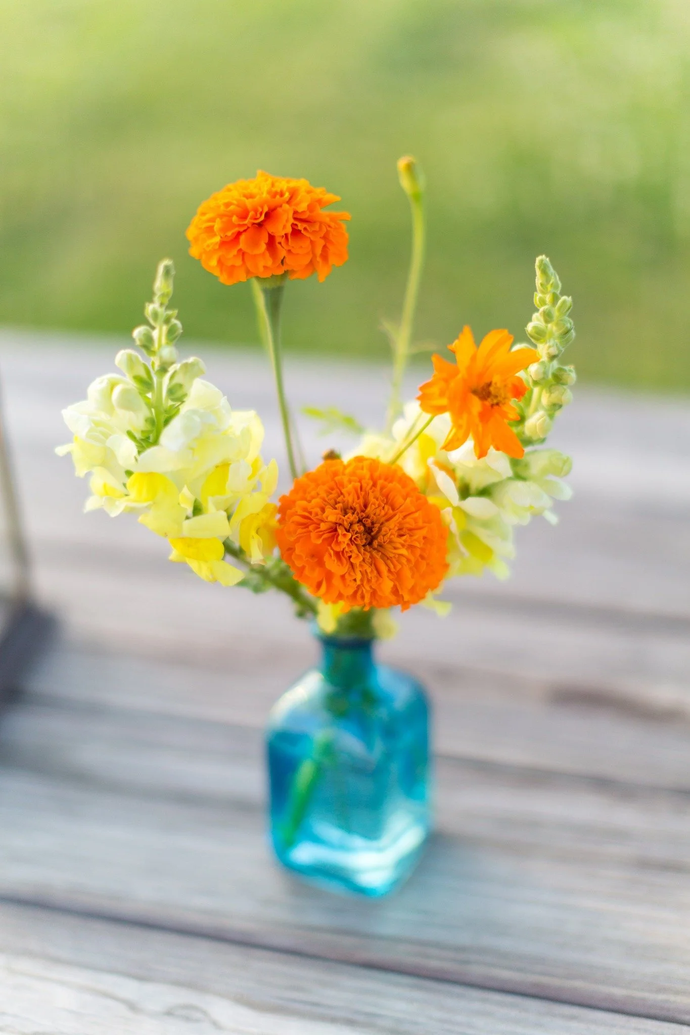 Kids Garden Hour - Summer Send Off Field Day