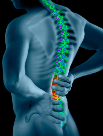 20100201203225back_xray.jpg