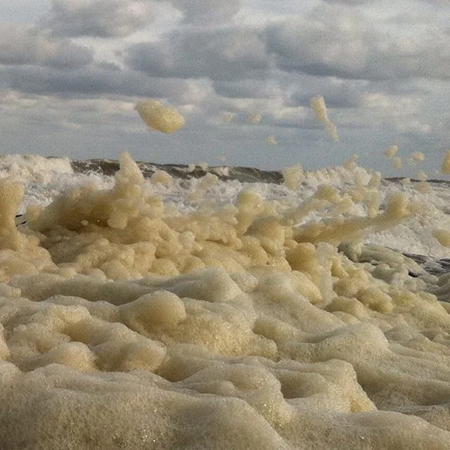 "They are wild waves of the sea, foaming up their shame; wandering stars, for whom blackest darkness has been reserved forever." #schooledbyjude #foamfingerofGOD
