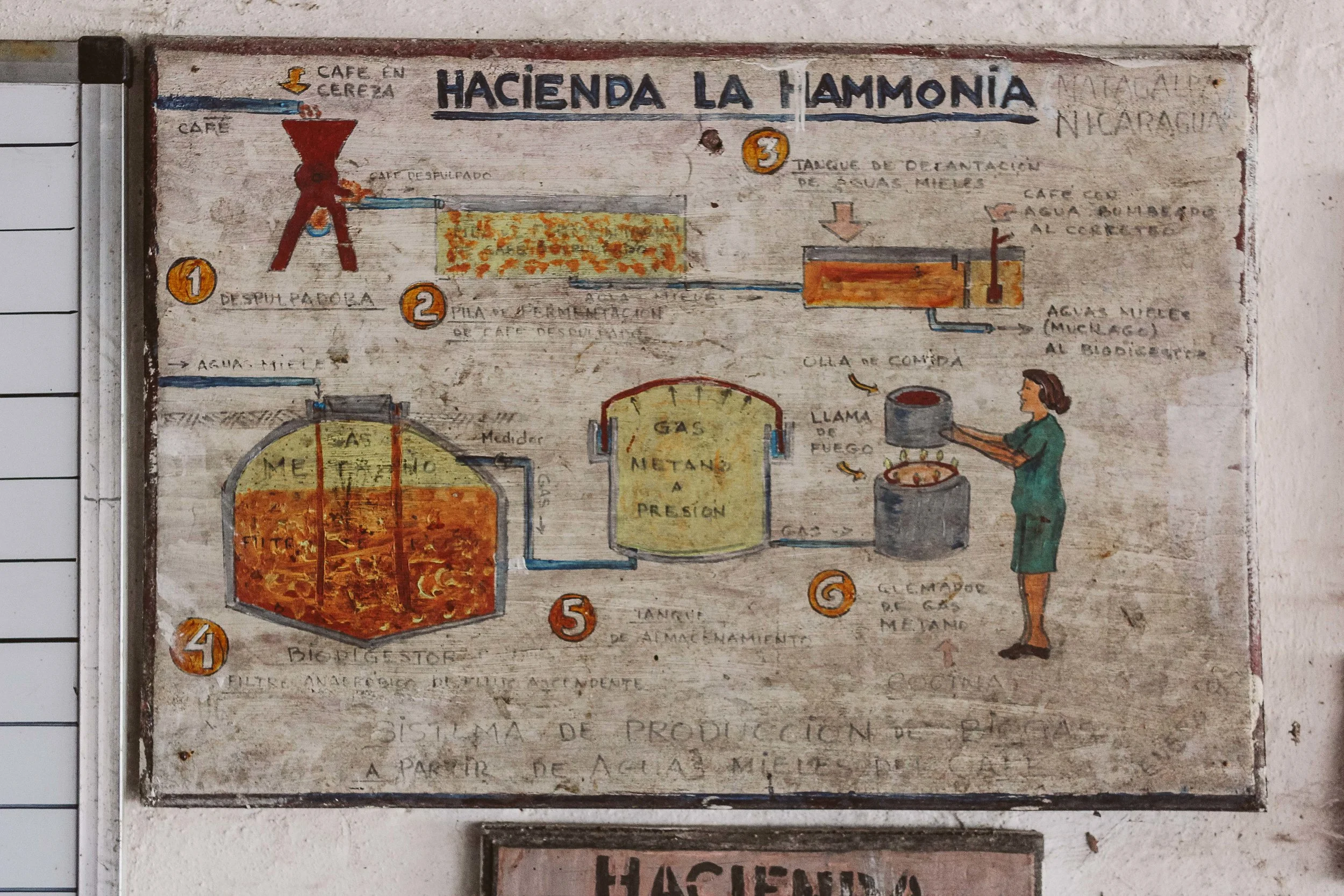 The process of extracting methane from the waste produced during coffee processing