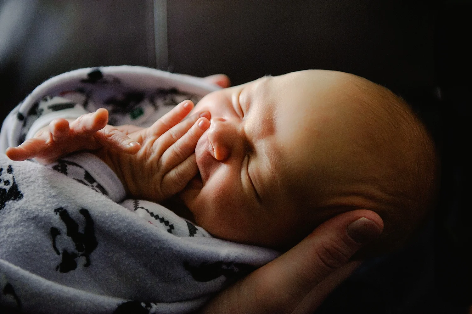 Newborn Sebastian | Edmonton Family Photographer