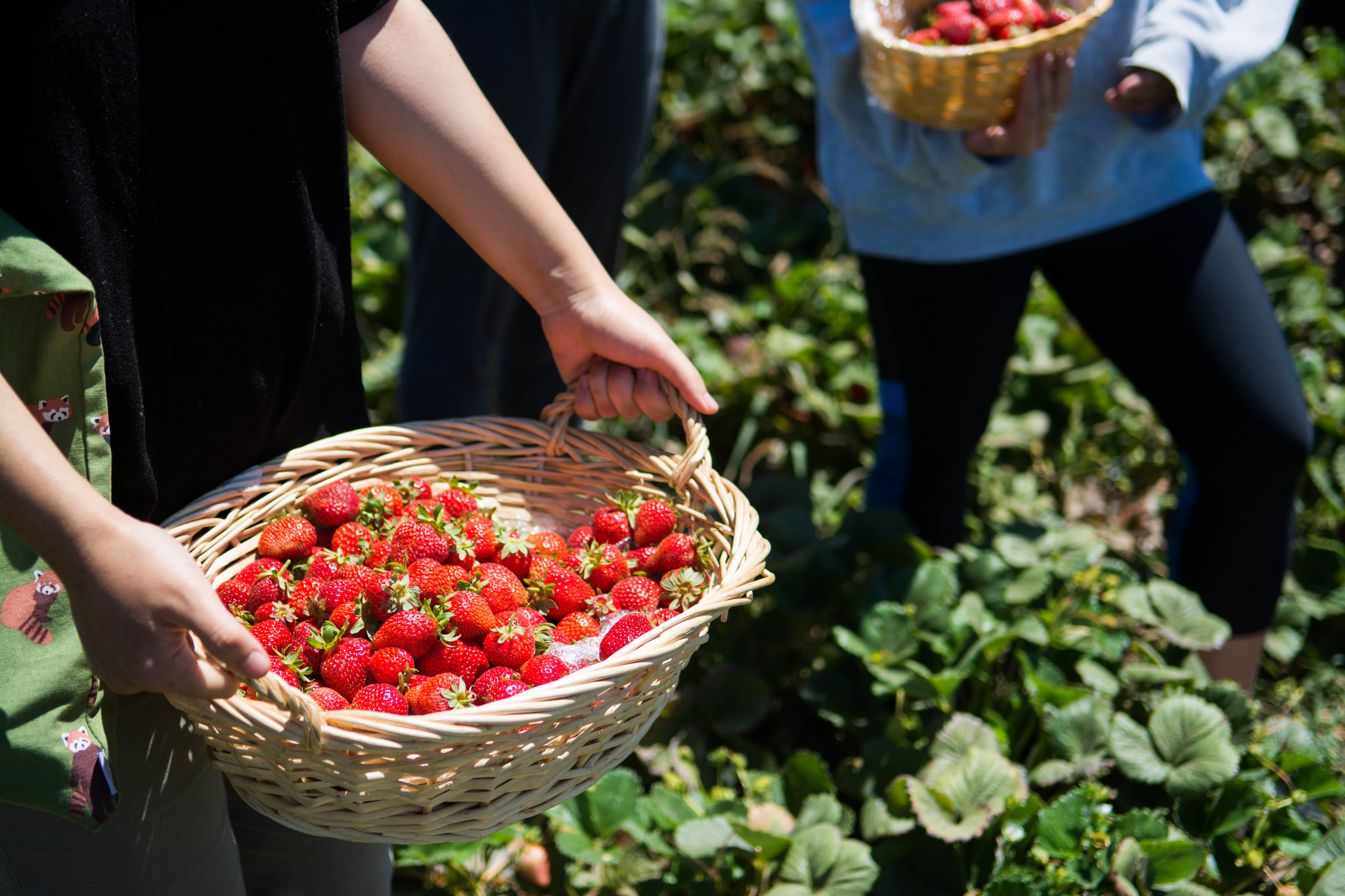Baskets...