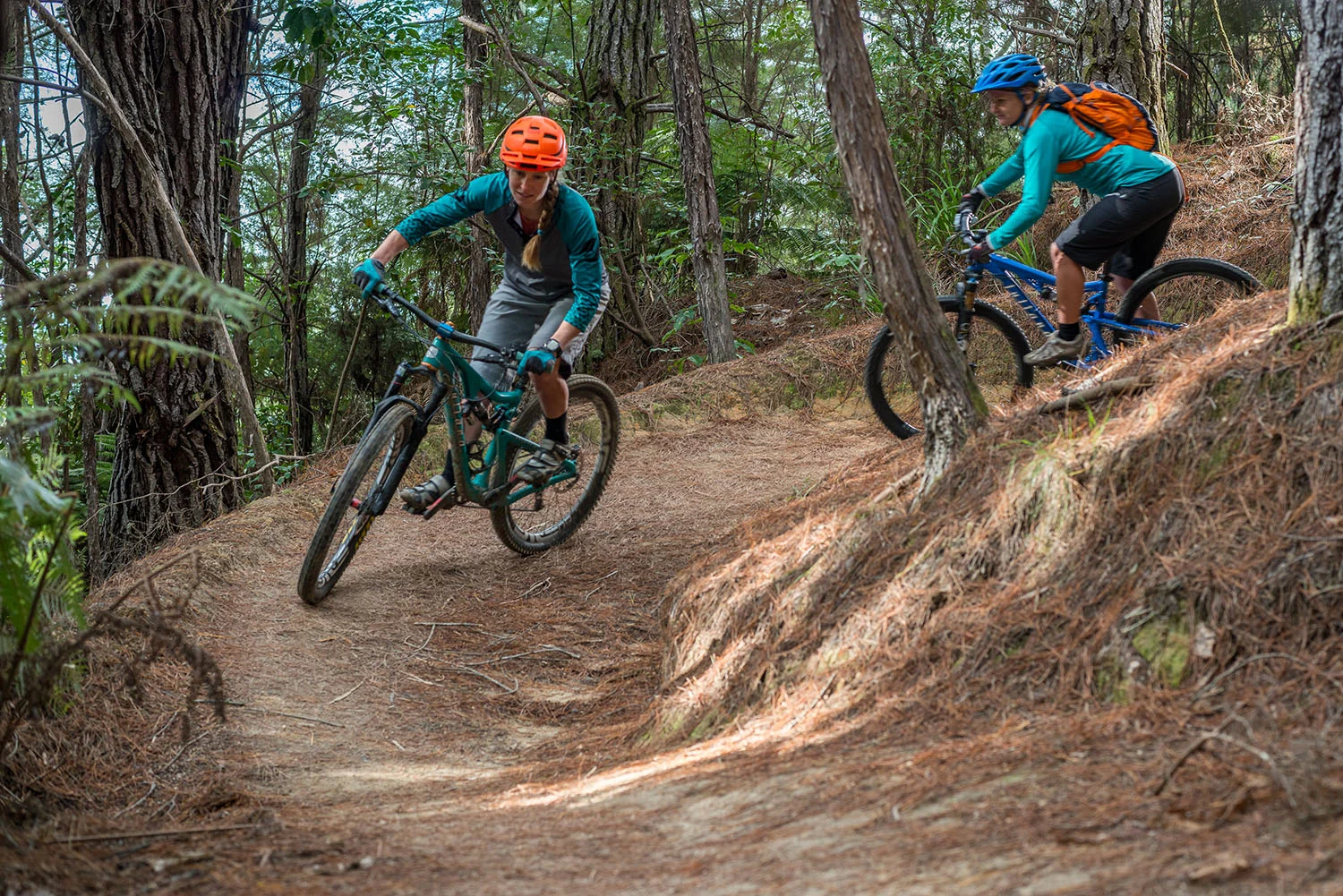 Intermediate Workshop