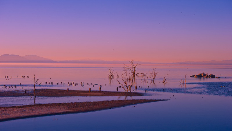 Victory Tischler-Blue, Salton Sea Sunset Glassine, Archival Pigment Print