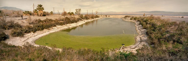 Bill Leigh Brewer, Salton Sea Beach January22, 2016