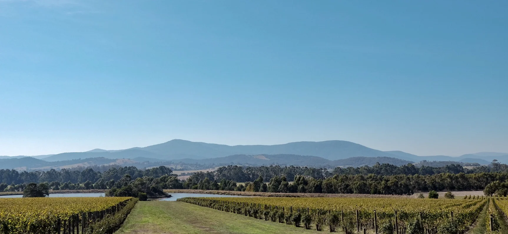 Yarra Valley Wine Tour