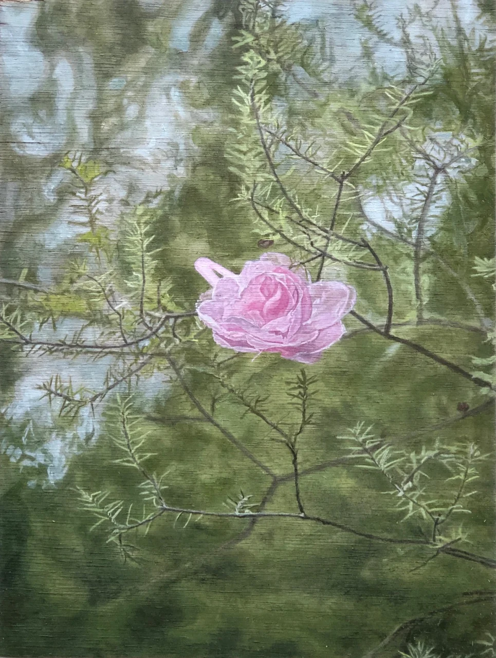 Lily McRae-Untitled #2-420 x 300mm.jpg