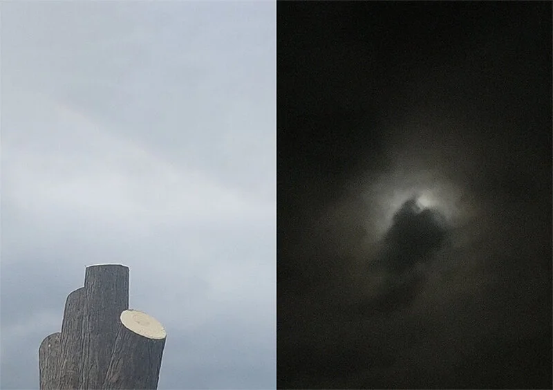  Rob Cherry, Bena Jackson  Have You Seen the Moon Tonight / Tree, 2020  310gsm Ilford Galerie Smooth Cotton Rag 148 x 210 mm  Set of 7 images, edition of 10 $575 incl. GST   _____ 