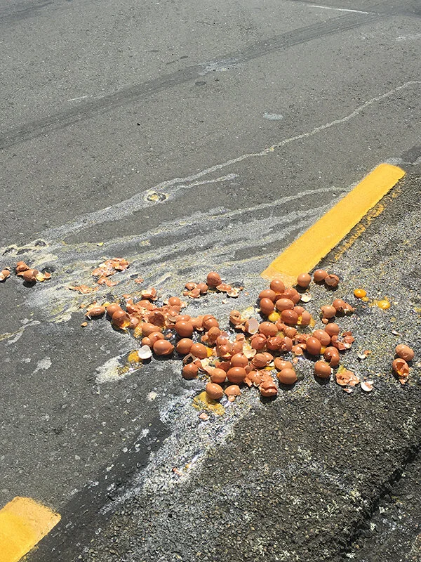 Eggs 1 right low size.jpg