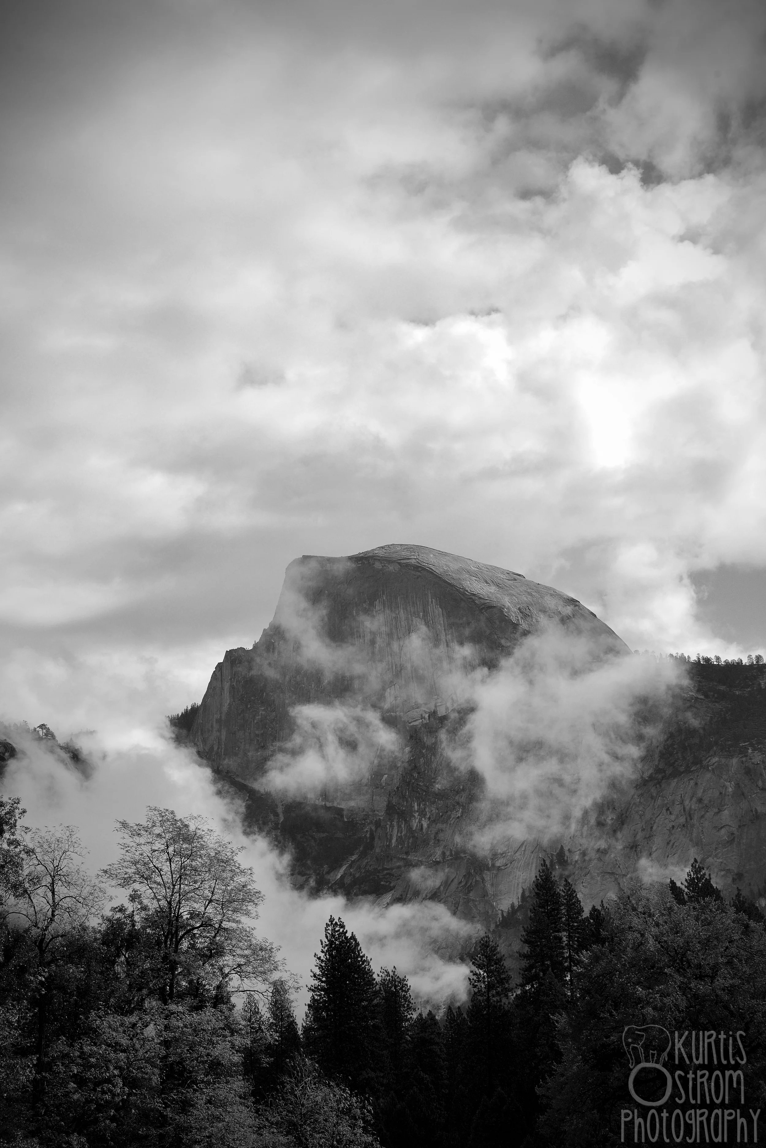 DSC_1789 edit bw watermarked.jpg