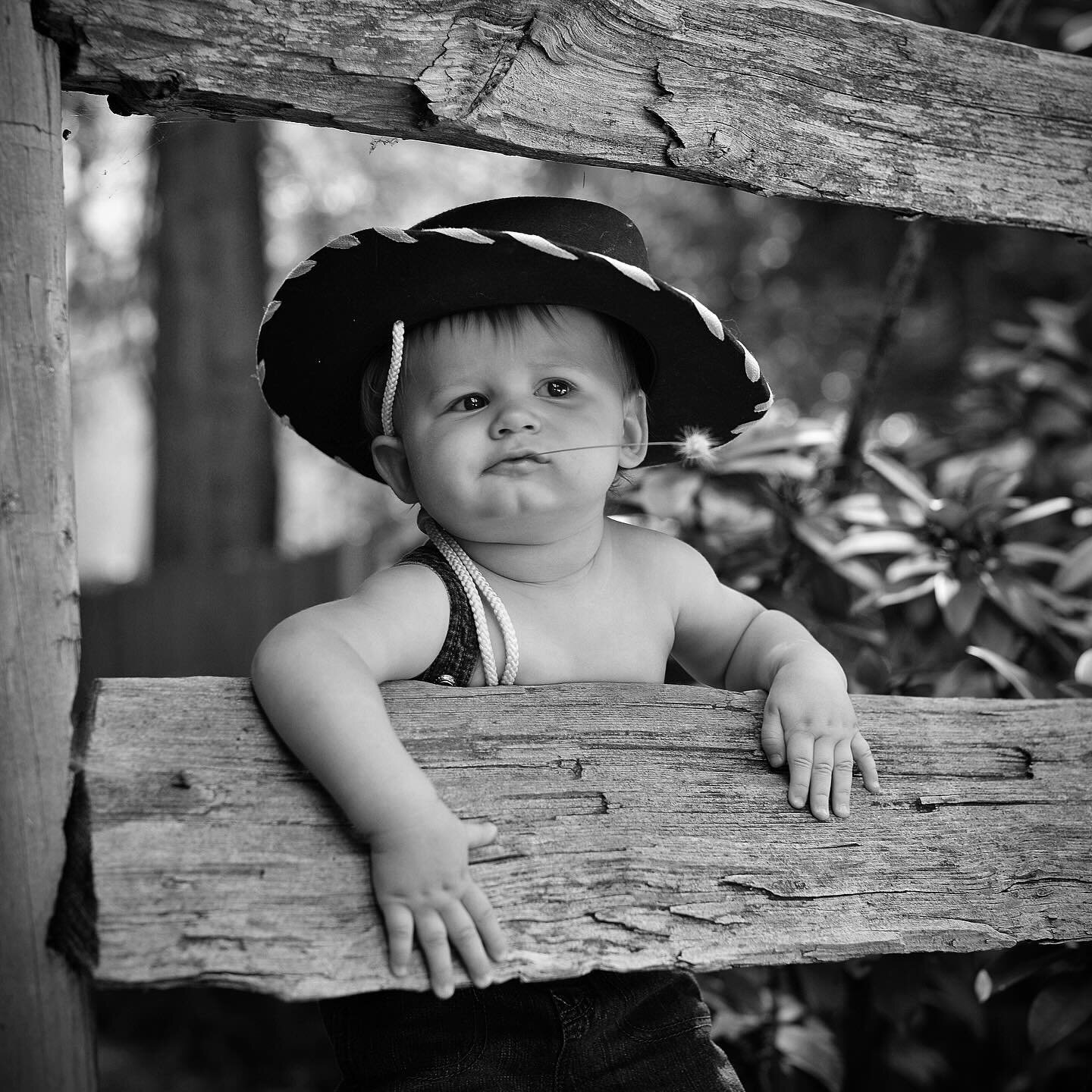 The cutest cowboy you ever did see! 🤠 
.
Message me or visit my website to book your photoshoot!
.
#photography #photographer #family #familyphotography #familyphotos #momanddad #kids #baby #newborn #toddler #newbornphotography #oneyearold #babysfir