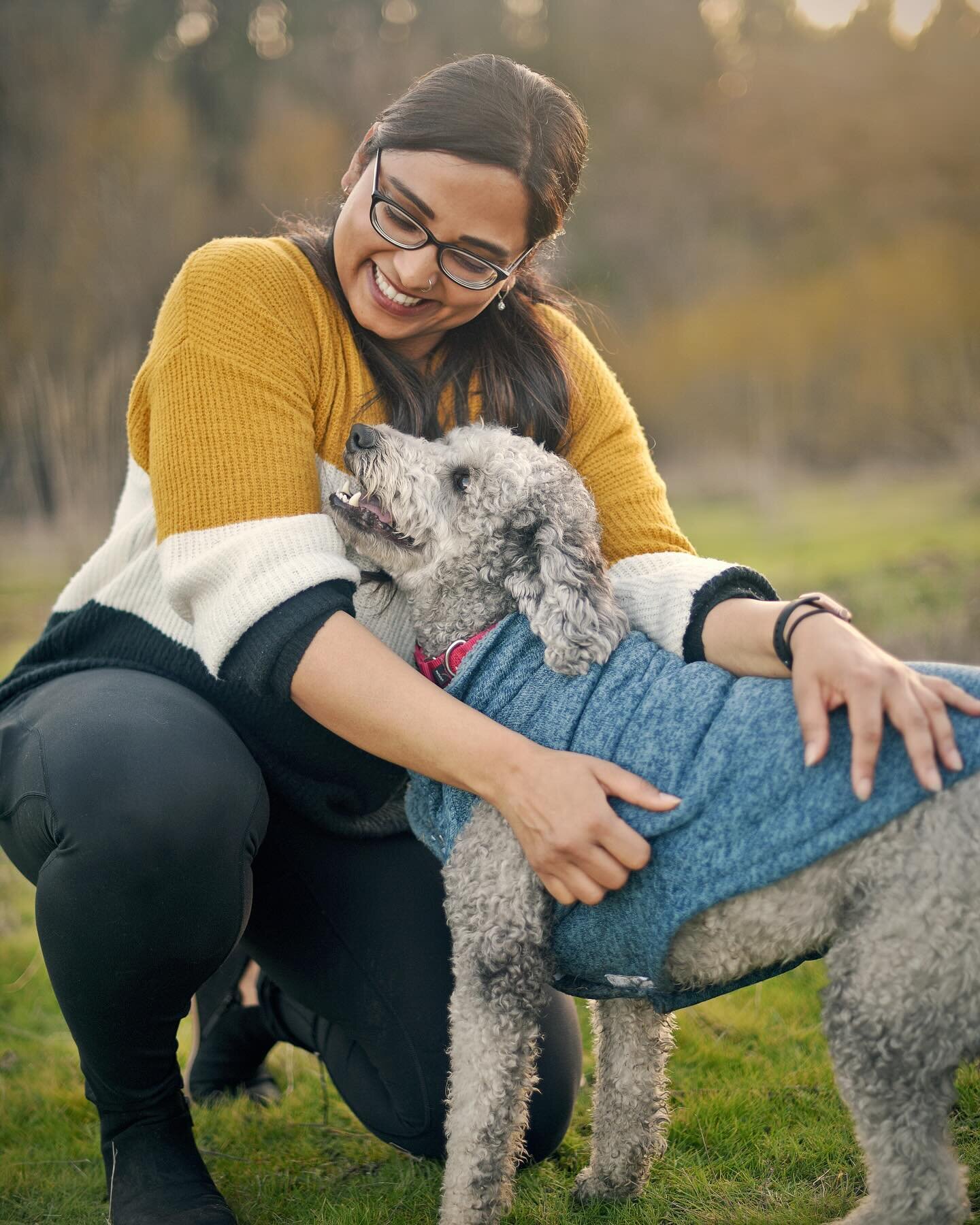 This was my first pet portrait session and I&rsquo;m so happy with how it turned out. His name is Kylo, and he is so loved. Such a fun dog to work with, and so photogenic! 
.
Message me or visit my website to schedule your session!
.
#petportrait #pe