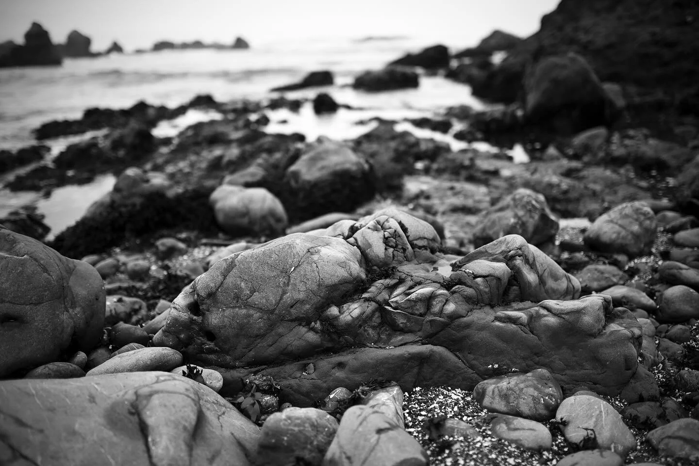 🪨 
.
#mendocino #fortbragg #california #ocean #beach #landscape #rocks #rock #blackandwhite #photographer #photography #nikon #california #californiacoast #westcoast #lostcoast