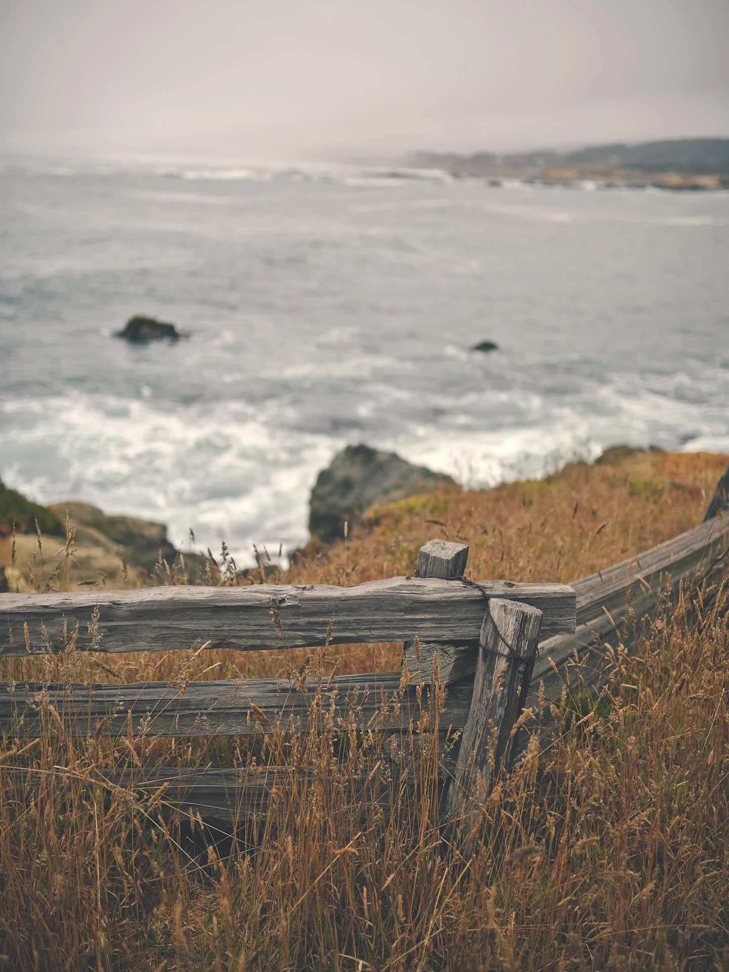 🌊 🪨 
.
#ocean #beach #california #californiacoast #mendocino #norcal #lostcoast #photography #photographer #vibes #liminal #nikon