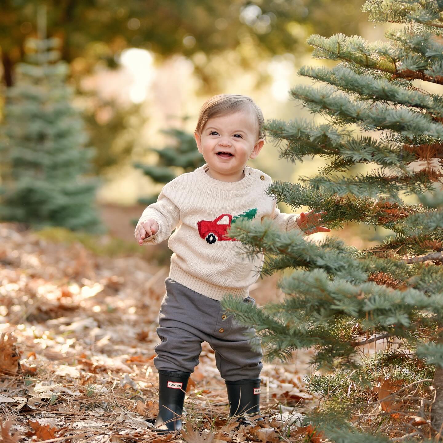 Merry Christmas 🎄🎁 
. 
This was my first time shooting at Guthrie Tree Farm in Foresthill. It&rsquo;s such a cute spot! 
.
#photographer #oneyear #portraits #christmascardphoto #auburnphotographer