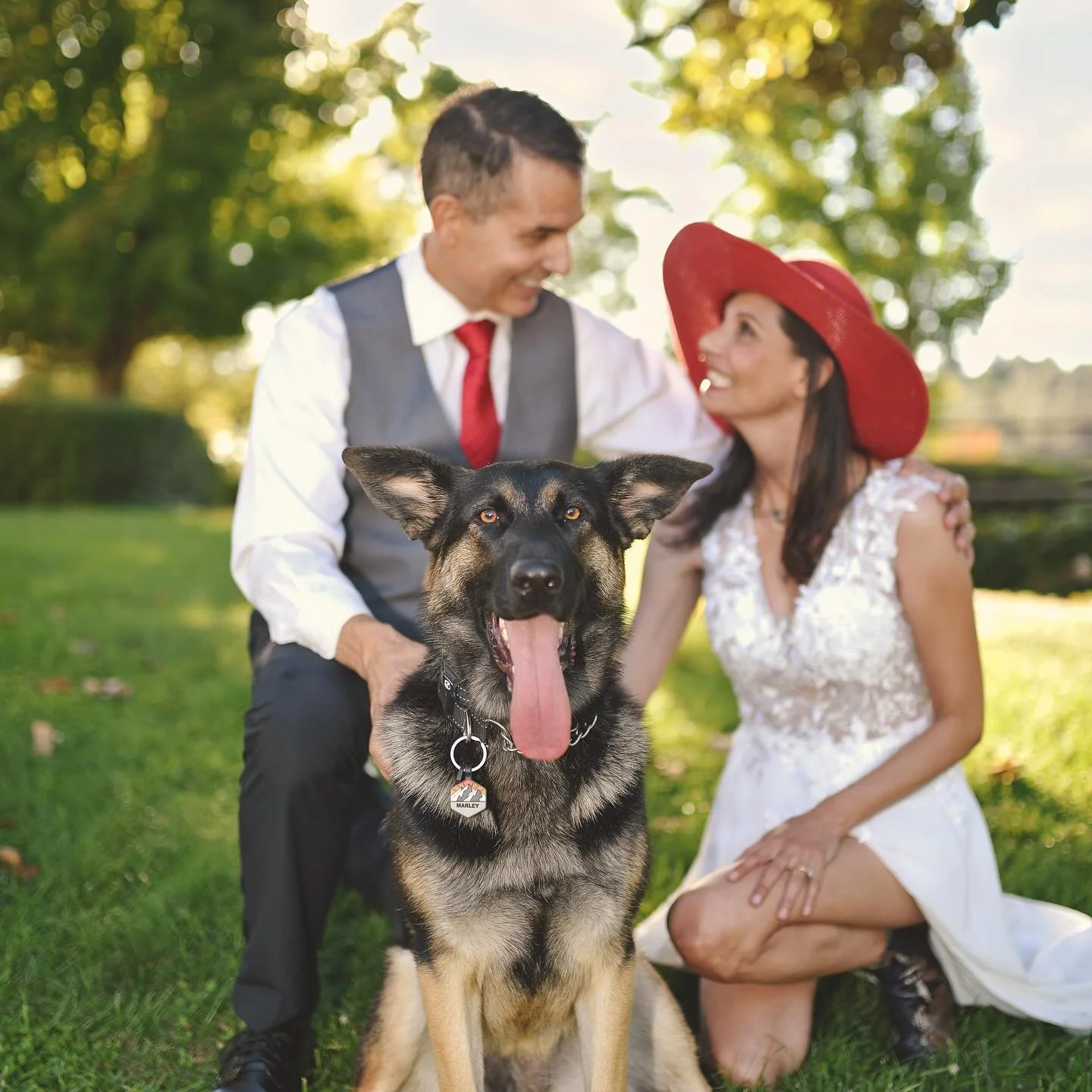 Marley practically stole the show during this session. Such a good girl! 🐶 
.
Message me or visit my website to book your session!
.
#wedding #weddingphotography #weddingphotographer #photography #photographer #sacramentowedding #sacramento #auburn 