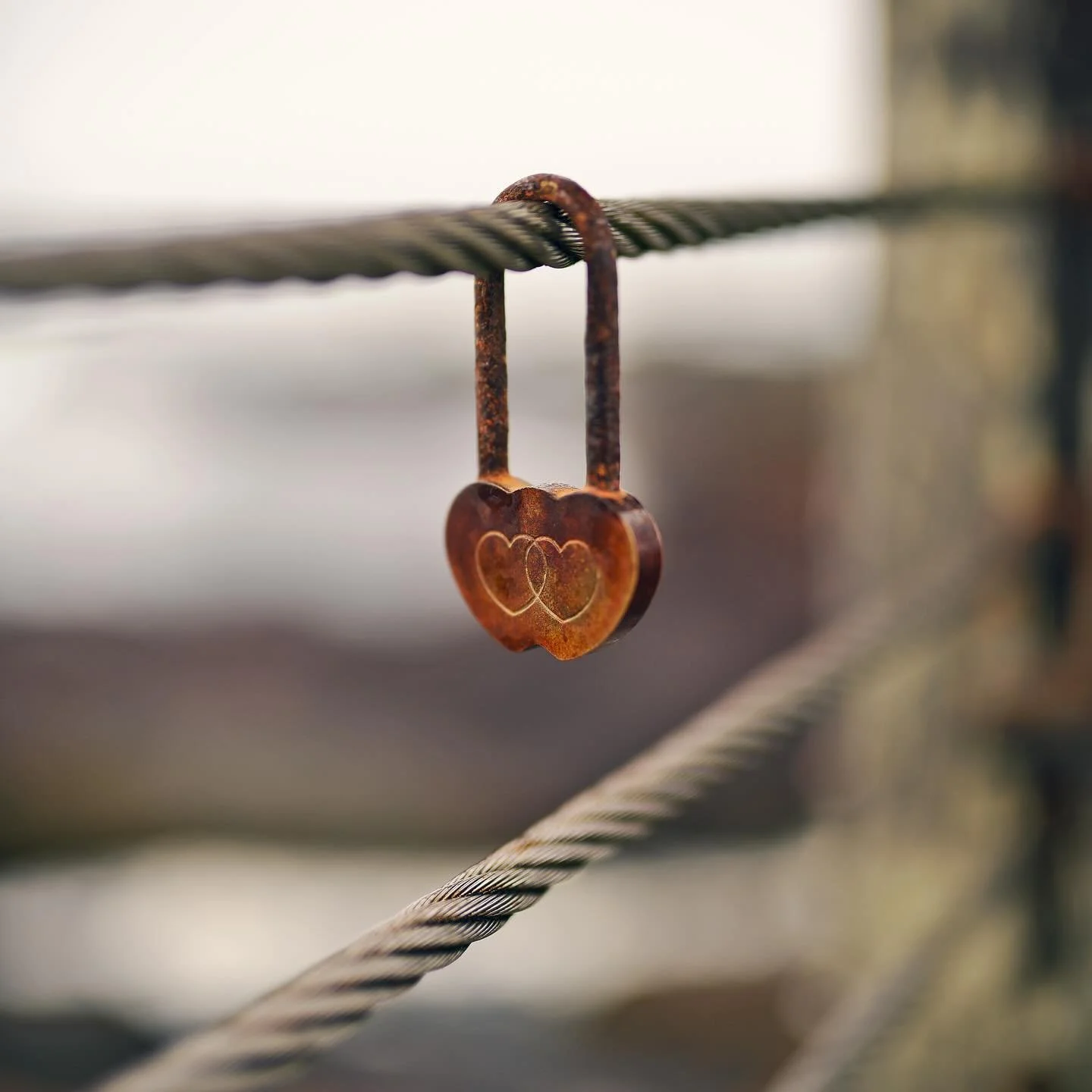 ❤️
.
#heart #love #lock #lockbridge #beach #ocean #mendocino #lostcoast #norcal #fortbragg #california #californiacoast #photography #photographer #nikon