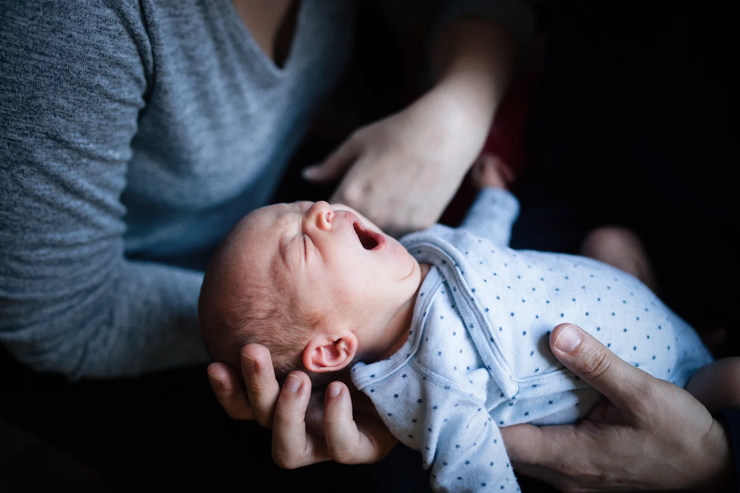 Camille Arner - Newborn