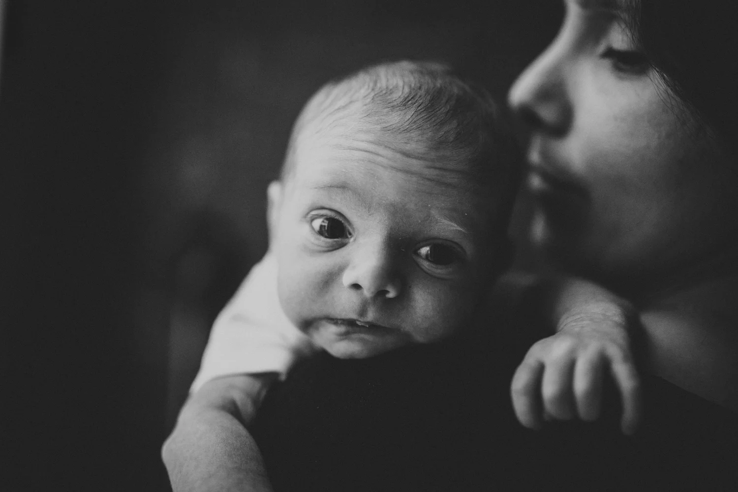 Camille Arner - Newborn