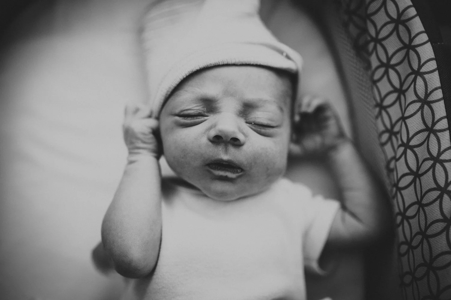 Camille Arner - Newborn