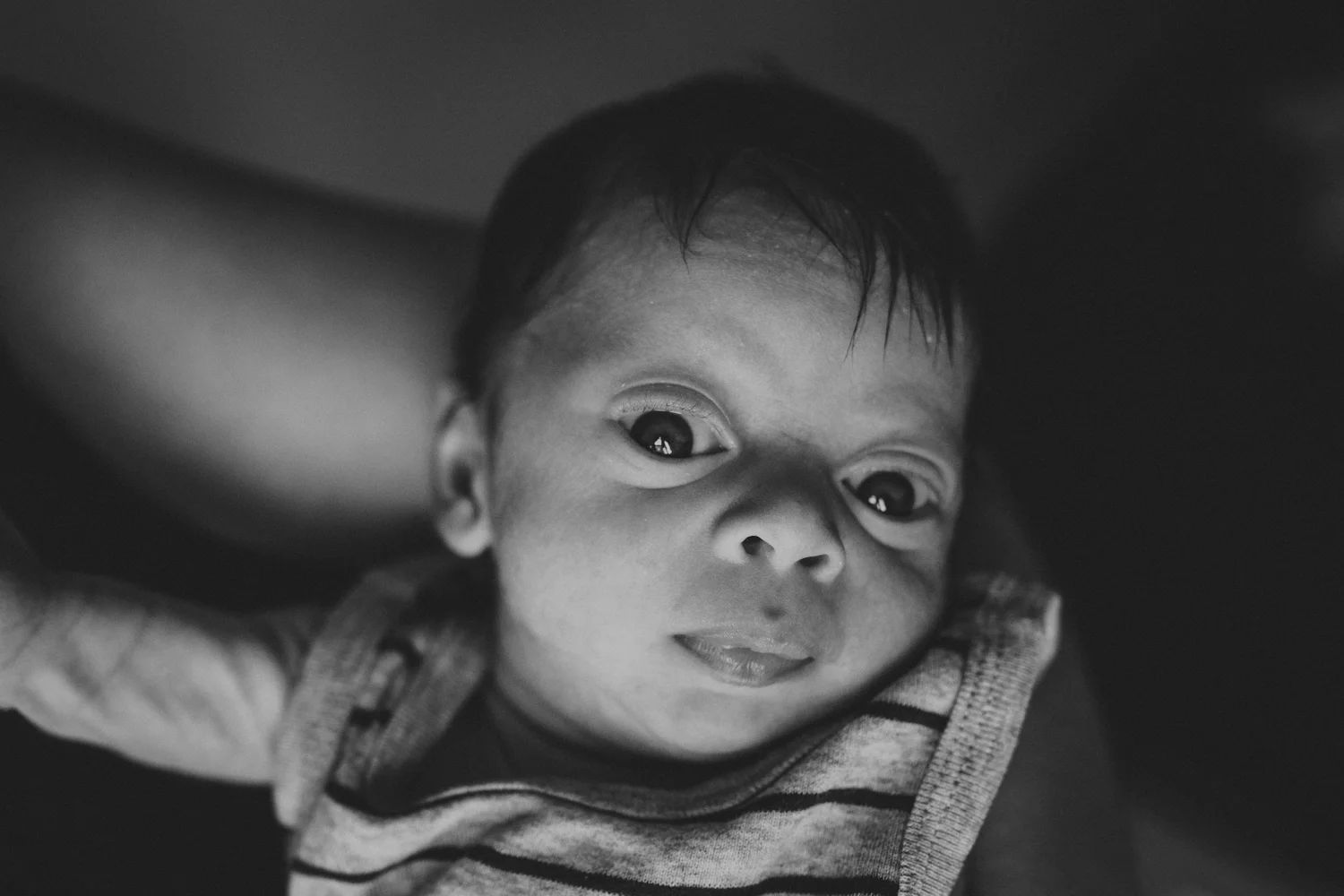 Camille Arner - Newborn