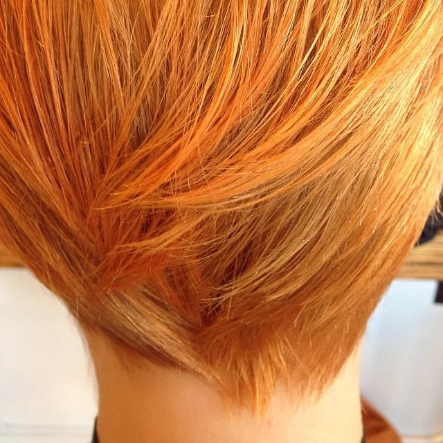tag_ponysalonsf_1386112464.jpg