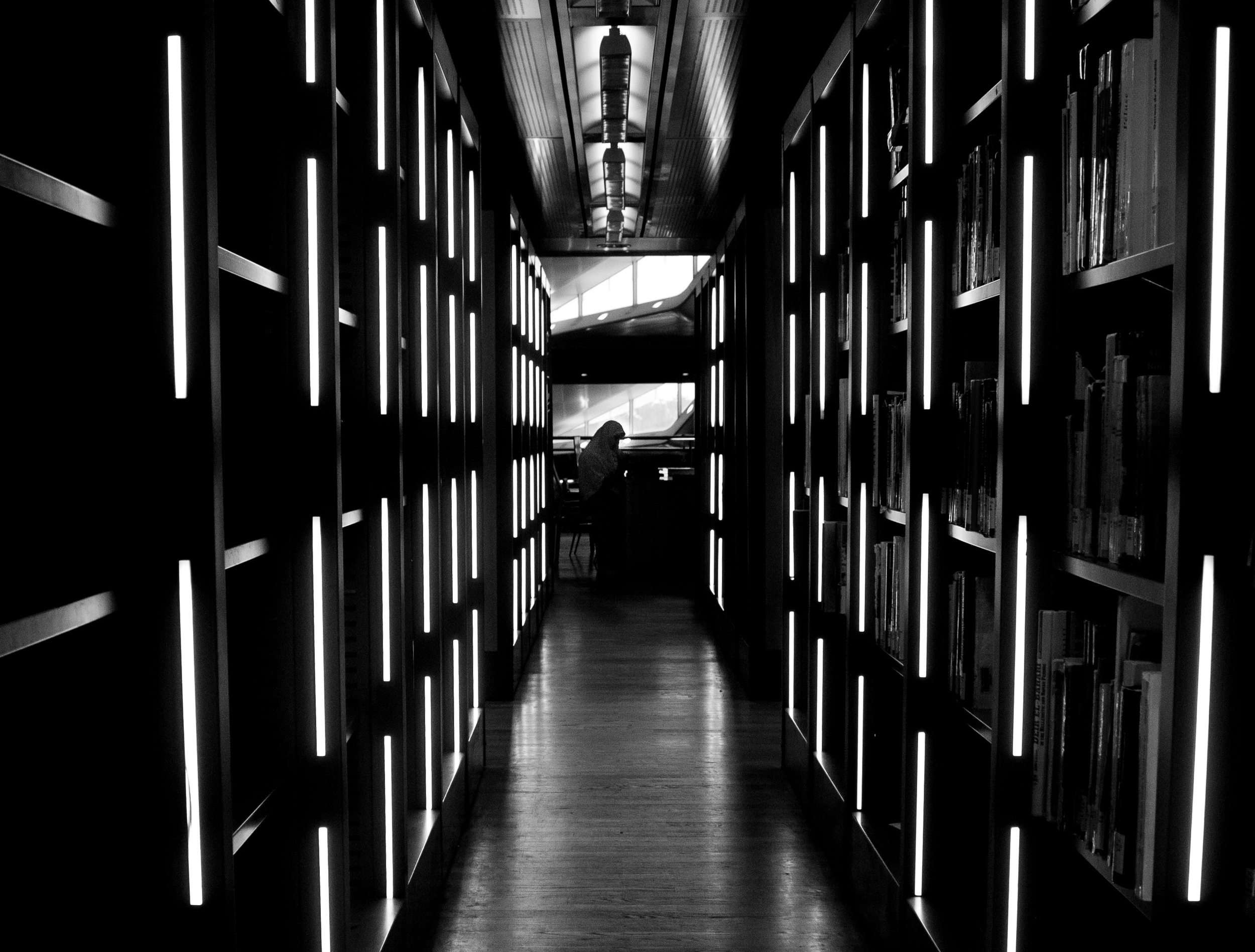 Library stacks in Alexandria