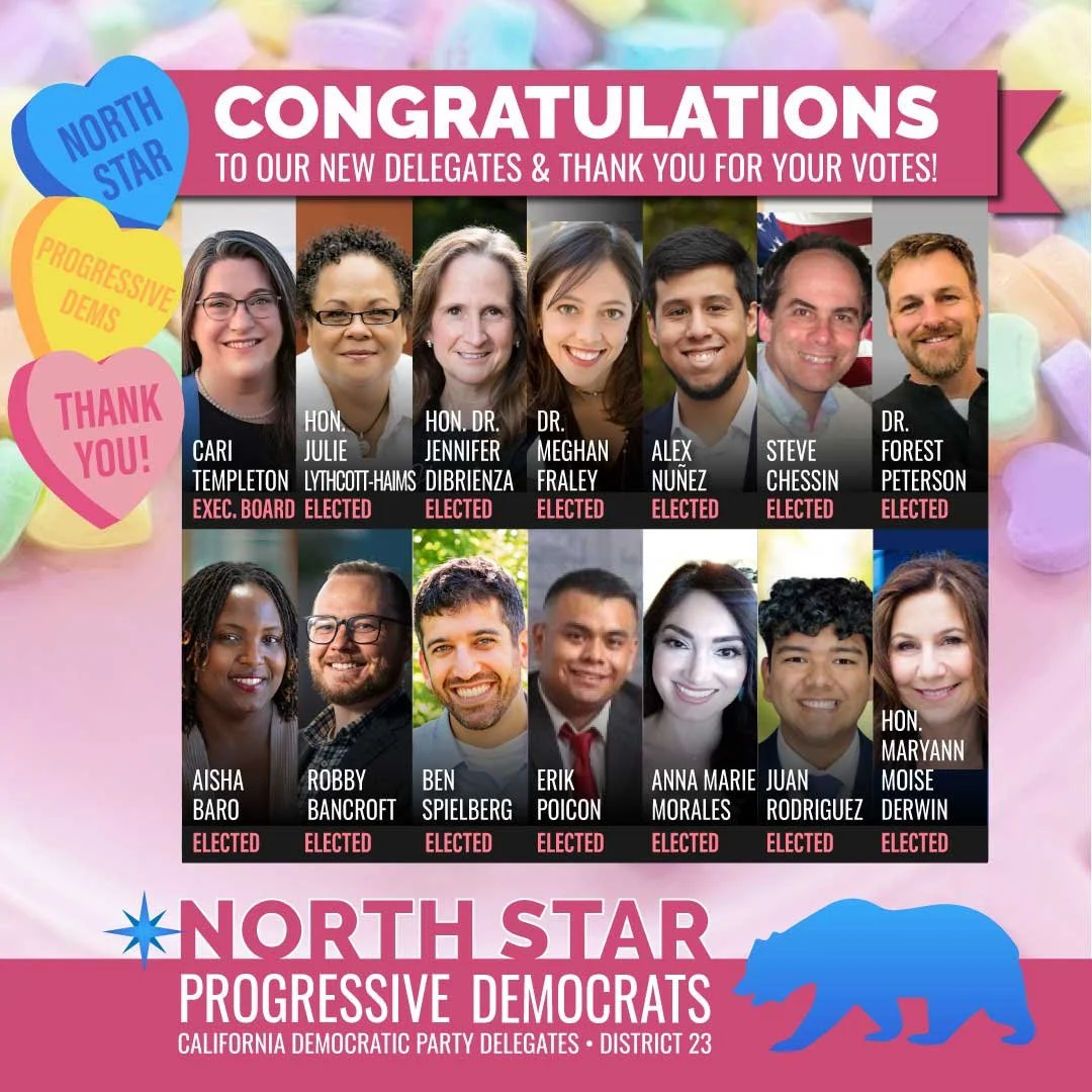Congratulations to ALL our North Star Progressive Democrats Candidates For Being Elected