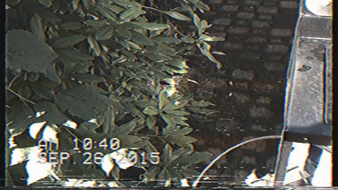 Nom Eats goes to Portland.