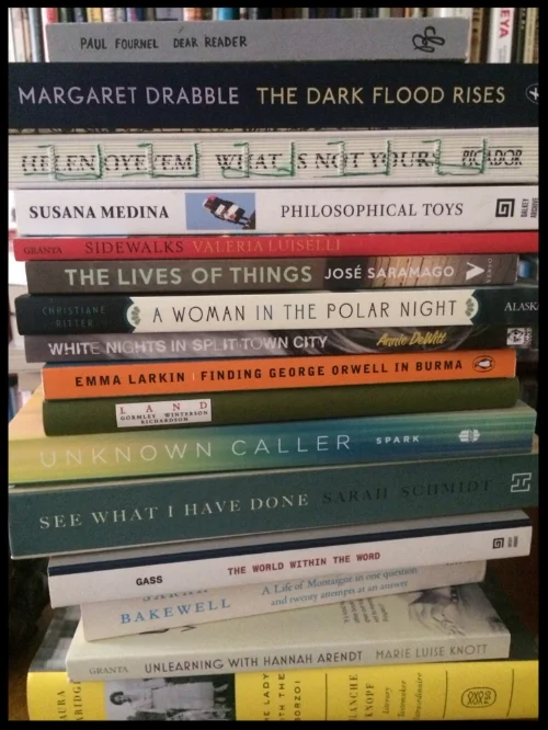 Adult books to read in 2017, Rebecca Hutcheson.