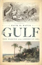 gulf.jpg