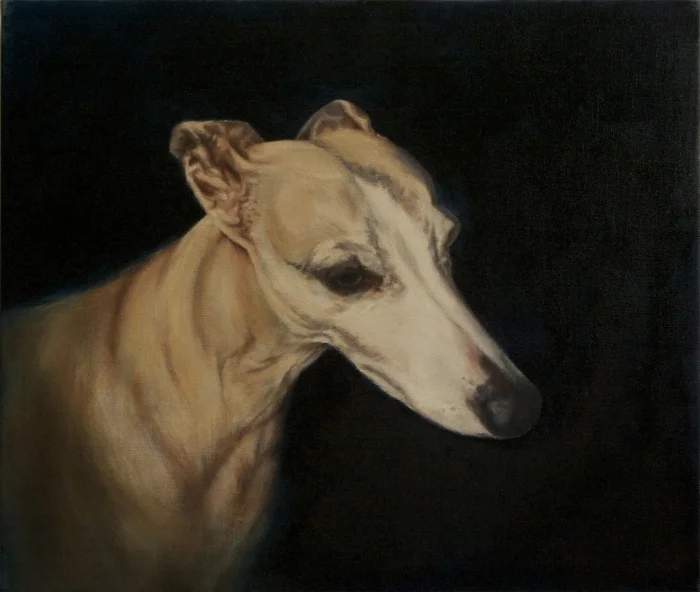 Pluto Oil on linen, 31 x 36 cm