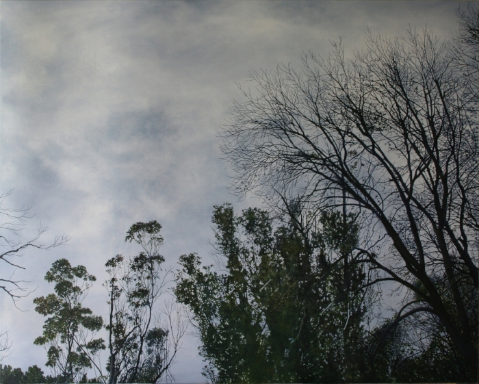 Shelterbelt #1 Oil on linen, 122 x 152 cm